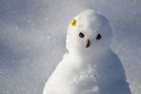 Snow Man with flower