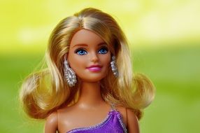 Beauty Barbie Doll