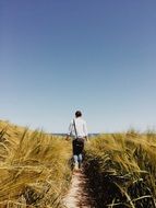 man on a trail among tall grass