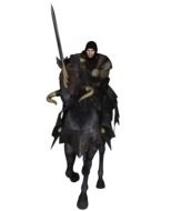 Knight on a horse on a white background