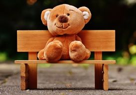 teddy bear on a wooden bench