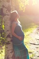 pregnant girl near the birch under the bright sun