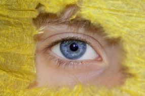 Close-up of the blue eye