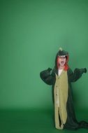 a child in a dinosaur costume