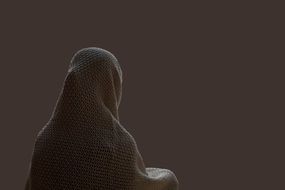 Person Rear View Shroud