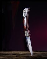 a pocket knife is thrust into a tree