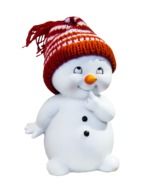 Snow Man Fig drawing