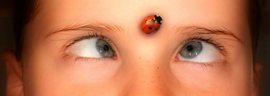 ladybug on the forehead between the eyes