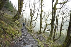 people climb a steep path in the countryside