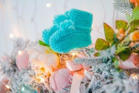 extraordinary beauty baby's socks on a tree