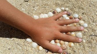 hand on sea shells