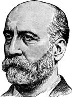 a bald man with a beard