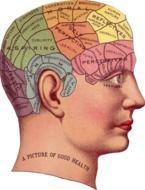 Vintage Brain Advertisement Idea