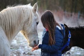 Horse and girl Friendship