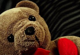 teddy bear as the best gift