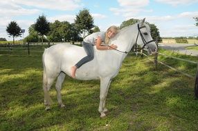 Pony Girl Mold Summer