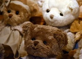 different types of teddy bears