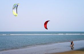 surfing as a sport