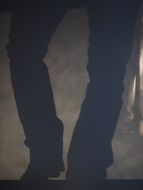 shadow of cowboy legs