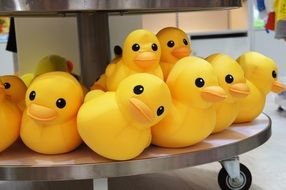yellow ducks like toys