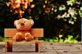 brown teddy bear on a bench