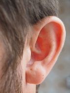ear of a man close up
