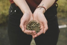 Screws in female Hands