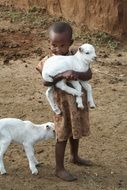 african child holds lamb in hands