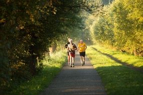 jogging in the park on a sunny day