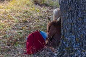 girl sitting near a tree in the autumn season