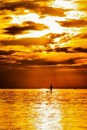 Paddleboarding Ocean Sport