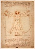 Leonardo Da Vinci Vitruvian Man drawing