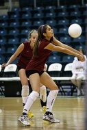 female volleyball