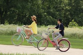 Cyclists on the path near the green trees