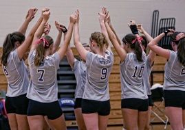 Volleyball Team of Girls