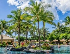 palm trees in the middle of the pool at the resort