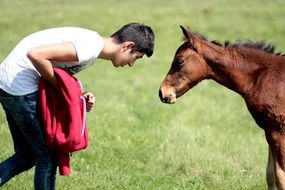 young man and horse