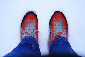 Feet of the Standing Human