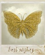 golden butterfly as a postcard