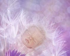 picture of a baby on a purple background with a flower