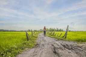 the girl runs along the field path