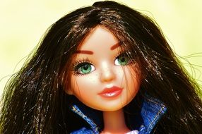 doll with brown hair and green eyes