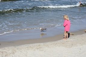 little girl and seagull near the water