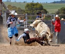 bull rider training