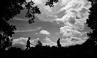 silhouettes of people among nature in monochrome image