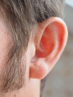make ear and whisker