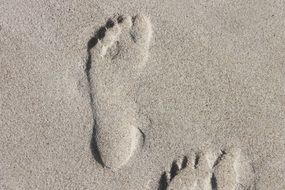 Human feet in the sand