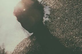 portrait of silhouette of a man's head and spray of water