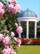 picturesque nature in verny park, Yokosuka, japan
