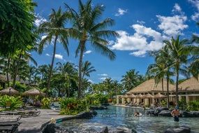 Pool near the palm trees in the resort